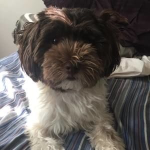 Meet your Posher, Gina